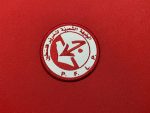Popular Front for the Liberation of Palestine PFLP Patch - Image 2