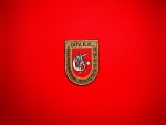 GÜV.K.K. 1976 Patch (Northern Cyprus Security Forces Command) - Image 4