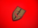 Executive Outcomes–attributed 3x2 embroidered shield patch with a black dagger and red scorpion on an olive field with a satin border.