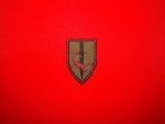 Executive Outcomes–attributed 3x2 embroidered shield patch with a black dagger and red scorpion on an olive field with a satin border.