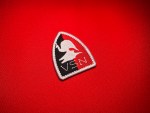 VSN Tonton Macoutes patch Haiti pintade bird on lambi shell black red insignia Corps des Volontaires de la Sécurité Nationale embroidered patch 2x2.5 inch