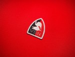 VSN Tonton Macoutes patch Haiti pintade bird on lambi shell black red insignia Corps des Volontaires de la Sécurité Nationale embroidered patch 2x2.5 inch