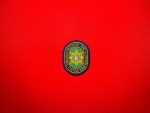 Embroidered Mongolian State Special Protection patch with blue border and gold Cyrillic text “Монгол Улс Төрийн тусгай хамгаалалт,” featuring a central gold eight-pointed star and stylized state emblem on green background, oval shape 3x2.5 inches.