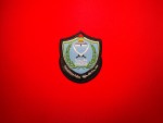 Palestinian Police Patch – Palestinian Civil Police Force Shield Insignia - Image 3