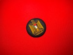 Palestinian National Security Forces NSF patrol cap patch, 2.5 inch round embroidered State of Palestine Eagle of Saladin coat of arms emblem with Palestinian flag shield, black background, gold eagle design, military hat insignia for historical display and collection.