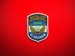 El Salvador Batallón Aerotransportado replica patch featuring a green parachute, gold wings, blue-and-white stripes and a white border on red fabric.